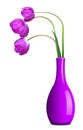 Fresh purple tulips in vase Royalty Free Stock Photo