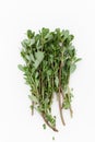 Fresh purslane in the beam on a white background