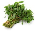 Fresh purslane, edible weeds