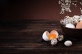 Fresh quail and chicken eggs in a bowl, egg yolk and white, gypsophila on a brown wooden background Royalty Free Stock Photo