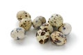 Fresh quail eggs