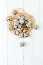 Fresh quail eggs in a nest of hay in a white wooden table. Royalty Free Stock Photo