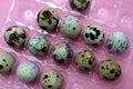 Fresh quail eggs are in open packaging