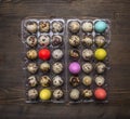 Fresh quail eggs plastic box with decorative eggs for Easter on wooden rustic background top view close up Royalty Free Stock Photo