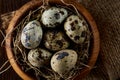 Fresh quail eggs in a wooden bowl on a homespun napkin over dark wooden background, top view, close-up Royalty Free Stock Photo