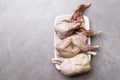some plucked quails ready for cooking on a white background