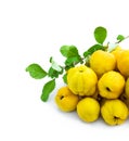 Fresh quince fruits isolated on white background