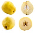 Fresh quince isolated on white background with shadow. Clipping path Royalty Free Stock Photo