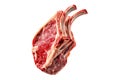 Fresh rack of Lamb, isolated on white background, showcasing culinary concept Royalty Free Stock Photo
