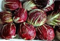 Fresh Radicchio