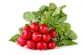 Fresh radish. Royalty Free Stock Photo