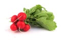 Fresh Radish Royalty Free Stock Photo