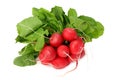 fresh radish bunch isolated on white background Royalty Free Stock Photo