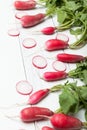 Fresh radish bunch, rustic agriculture background Royalty Free Stock Photo