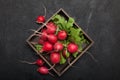 Fresh radish bunch, rustic agriculture background Royalty Free Stock Photo