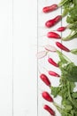 Fresh radish bunch on white wood background. Copy space for text Royalty Free Stock Photo