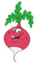 Fresh radish cartoon