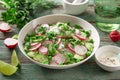 Fresh radish, cucumber and green peas salad in white bowl Royalty Free Stock Photo