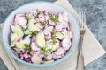 Fresh radish, cucumber salad with yoghurt sauce Royalty Free Stock Photo