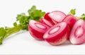 Fresh radish, cut out on white background