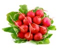 Fresh radish fruits with green leaves