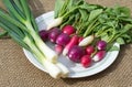 Fresh vegetables on a plate