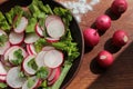 Fresh radish, lettuce and parsley salad in a brown ceramic bowl on a wooden cutboard Royalty Free Stock Photo