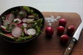 Fresh radish, lettuce and parsley salad in a brown ceramic bowl on a wooden cutboard Royalty Free Stock Photo