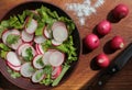 Fresh radish, lettuce and parsley salad in a brown ceramic bowl on a wooden cutboard Royalty Free Stock Photo