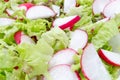 Fresh radish and lettuce salad Royalty Free Stock Photo