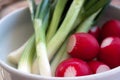 Fresh radish and onion Royalty Free Stock Photo