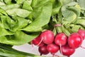 Fresh radish, onion, cabbage on a gray background. Royalty Free Stock Photo