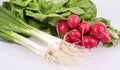 Fresh radish ,onion, cabbage on white background Royalty Free Stock Photo