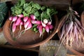 Fresh Radish Radishes Farm Produce for Market Sale Sign Royalty Free Stock Photo