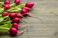 Fresh radish on a rustic table