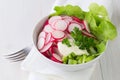 Fresh radish salad in a bowl Royalty Free Stock Photo