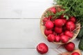 Fresh radish. Spring fresh vegetables radishes, cucumber, green onions and greens on a white wooden table. ingredients for cooking Royalty Free Stock Photo