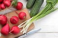 Fresh radish. Spring fresh vegetables radishes, cucumber, green onions and greens on a white wooden table. ingredients for cooking Royalty Free Stock Photo