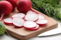 Fresh radish. Spring fresh vegetables radishes, cucumber, green onions and greens on a white wooden table. ingredients for cooking Royalty Free Stock Photo