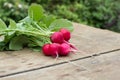 Fresh radish vegetables on the table.