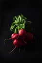 Fresh radishes on black background. Royalty Free Stock Photo