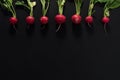 Fresh radishes on black background. Royalty Free Stock Photo