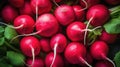 Fresh radishes closeup, healthy cuisine. Top down view