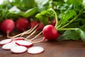 Fresh radishes with greet tops