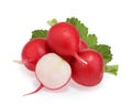 Fresh radishes isolated on white