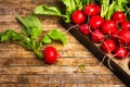 Fresh radishes with leaves on wooden table Royalty Free Stock Photo
