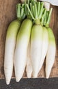 Fresh Radishes