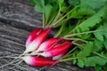 Fresh radishes.