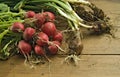 Fresh radishes and scallions