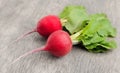 Fresh radishes